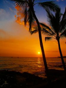 Hawaiian Landscapes